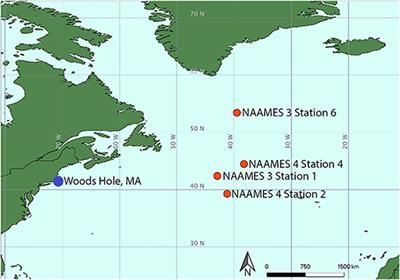 Role of Sea Surface Microlayer Properties in Cloud Formation